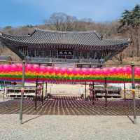 Yongmunsa Temple (Yangpyeong)