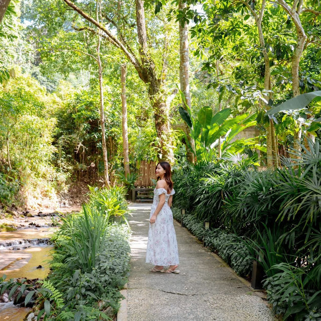 🌿รีสอร์ทบนภูเขาเชียงใหม่ บรรยากาศดีมาก