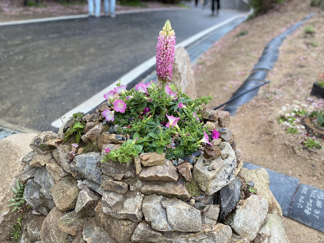 서산 당진 여행