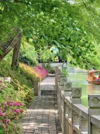 Real Footage of Suzhou Tiger Hill Flower Viewing Route (No Mountain Climbing, Less Crowded)