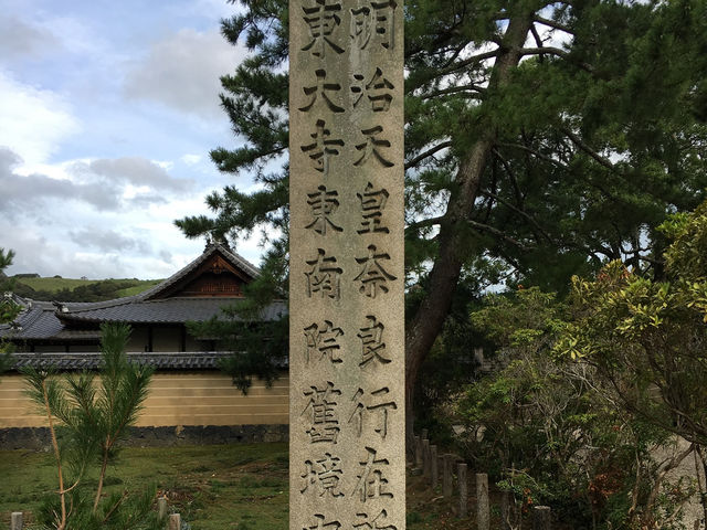 🦌 奈良公園｜與梅花鹿共遊的千年古都散策 