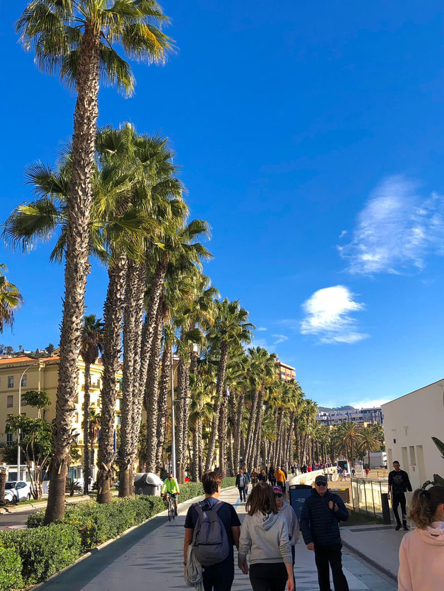 The 24-Hour Challenge. Your perfect day in Malaga, Spain 🇪🇸