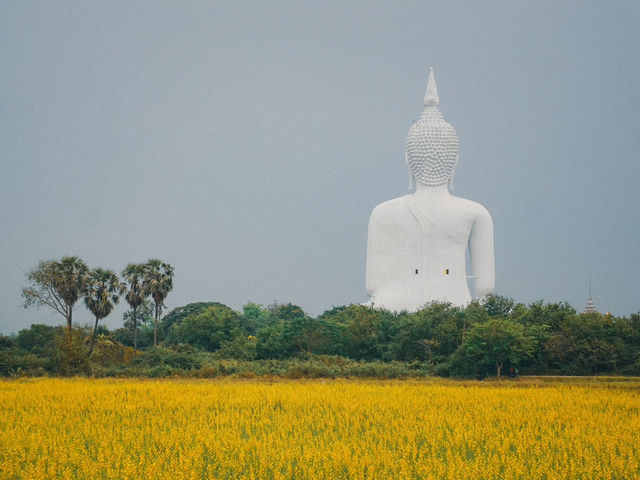 วัดม่วง พระพุทธมหานวมินทร์ศากยมุนีศรีวิเศษชัยชาญ
