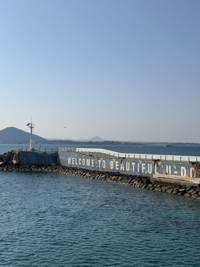 韓國濟州🍊｜在「牛島」體驗濟州寧靜小島的浪漫氛圍💕