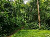 อุทยานแห่งชาติน้ำตกสามหลั่น