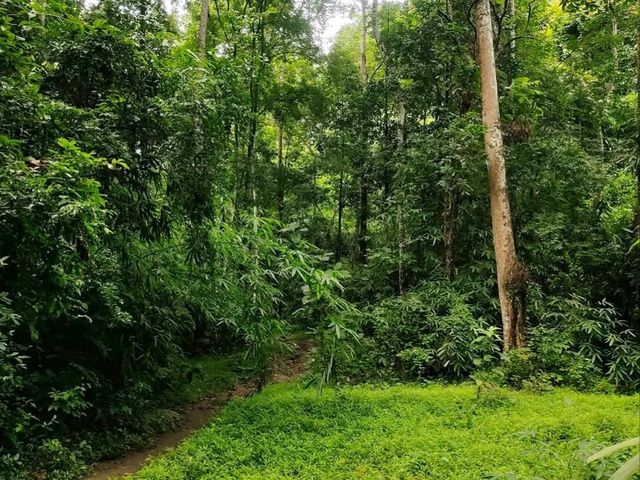 อุทยานแห่งชาติน้ำตกสามหลั่น