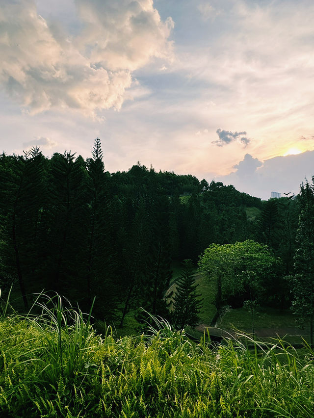 Breathe In, Bliss Out – Nature’s Escape at Taman Saujana Hijau!