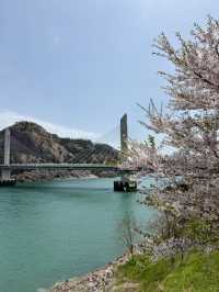 주말 군산여행!