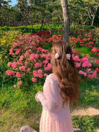 Incheon: Korea’s Coastal Gateway in Full Bloom