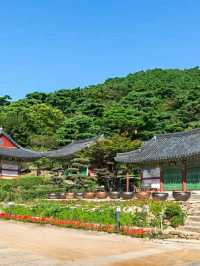 Incheon: Korea’s Coastal Gateway in Full Bloom