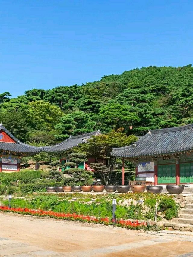 Incheon: Korea’s Coastal Gateway in Full Bloom