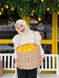 Time cafe & restaurant - ทุ่งสง นครศรีธรรมราช