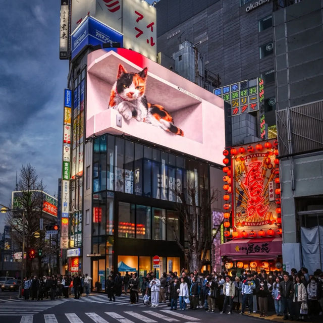 新宿隱世拉麵與居酒屋推薦🇯🇵🍶🍜