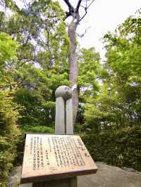 A Peaceful Day in Samukawa – Shrines, Sakura & a Slow Walk
