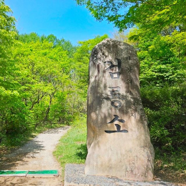 한강의 첫 시작점💚[태백 검룡소]