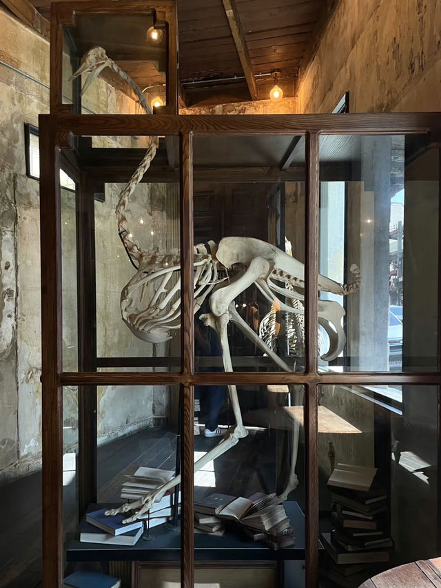 穿越百年時光的博物館咖啡店💕The Mustang Blu 