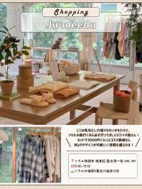 🇰🇷🌳ソウルの森で1日！穴場巡り編✨