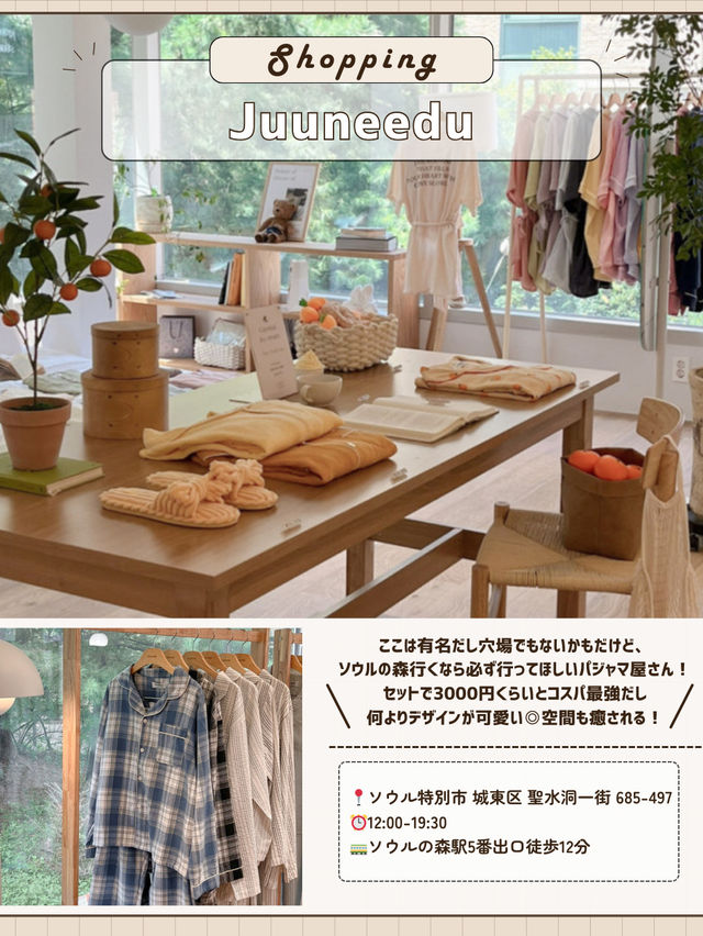 🇰🇷🌳ソウルの森で1日！穴場巡り編✨