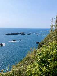 A Slow Adventure at Cape Ashizuri – Ocean Views & Sacred Sites