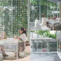 คาเฟ่แผ่นกระจกกลางสวนยางพารา
