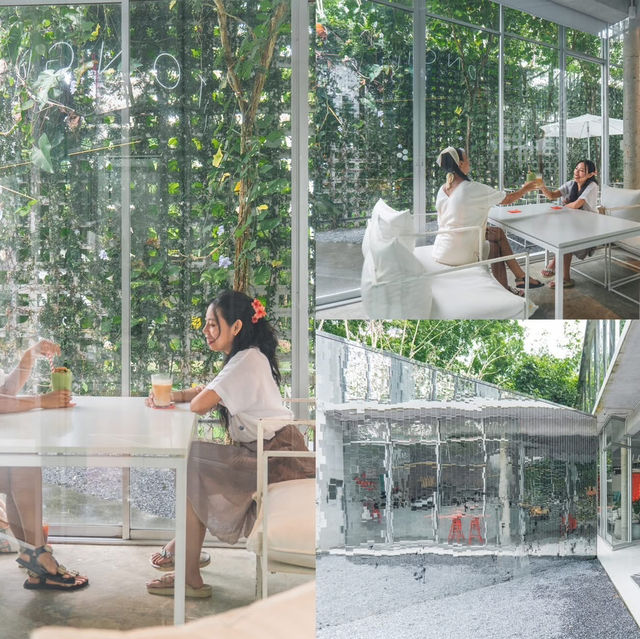 คาเฟ่แผ่นกระจกกลางสวนยางพารา