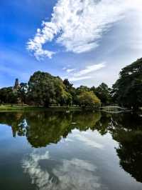 บึงพระราม – ความนิ่งที่ไม่เคยเงียบ