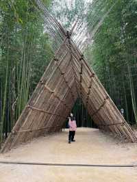 Juknokwon – Bamboo Serenity in Damyang
