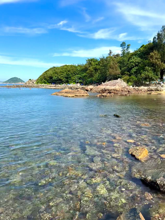 夏天好去處｜原來在香港也能看到果凍海