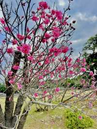 April Blooms