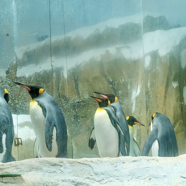 台北市動物園：親子同樂的自然探索勝地 🐼