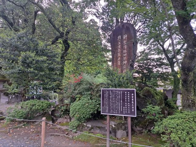 Spring Serenity at Kirishima Jingu