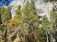 The Perfect Base at Yosemite: Yosemite Valley Lodge