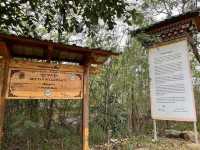 Punakha’s Fertility Temple – Where Culture Meets the Countryside