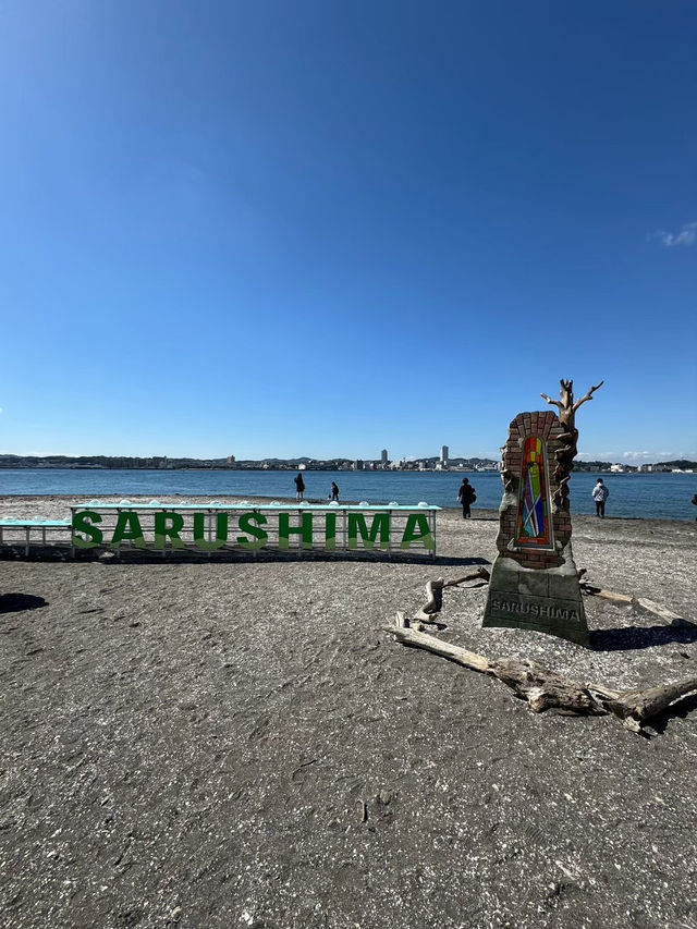 東京からすぐ行ける秘境🫣🌿豊かな自然と済んだ海の美しい無人島🏝