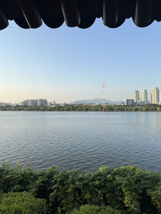 봄에는 역시 피크닉..🩵 선유도공원 나들이 어때요?