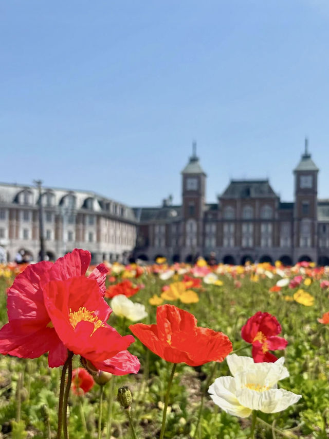 A Day to Enjoy Flowers in Kobe 🌸
