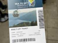 Gondola to the snow wonderland☃️🚠