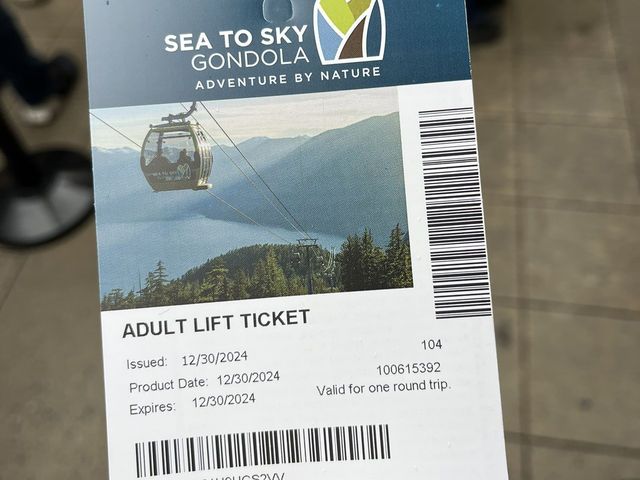Gondola to the snow wonderland☃️🚠