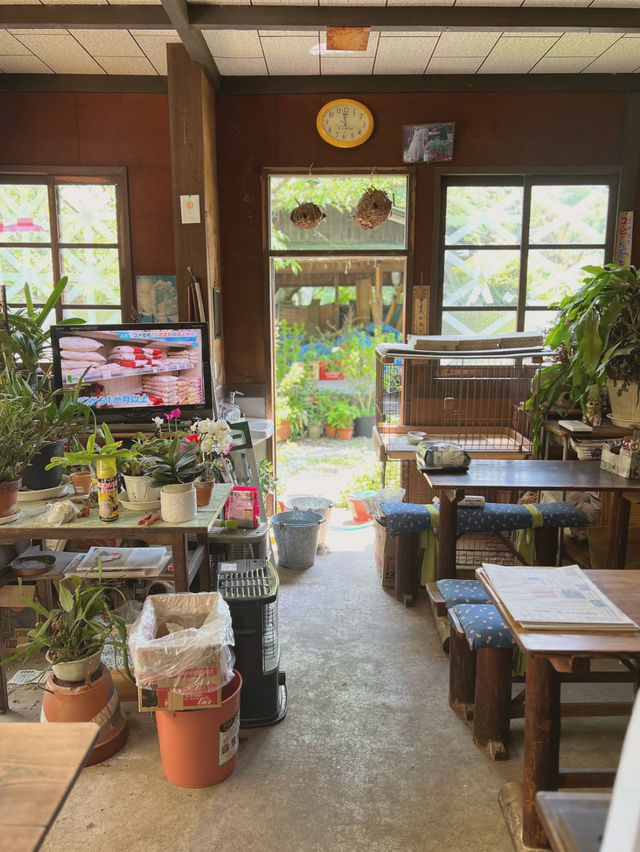 【兵庫/西宮】ジブリなお茶屋でタイムスリップ🤭🍙✨