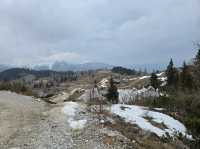 Velika planina