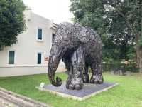 Elephant Parade ❤️ Mosha