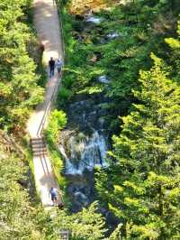 Black Forest National Park – Germany’s Enchanted Wilderness