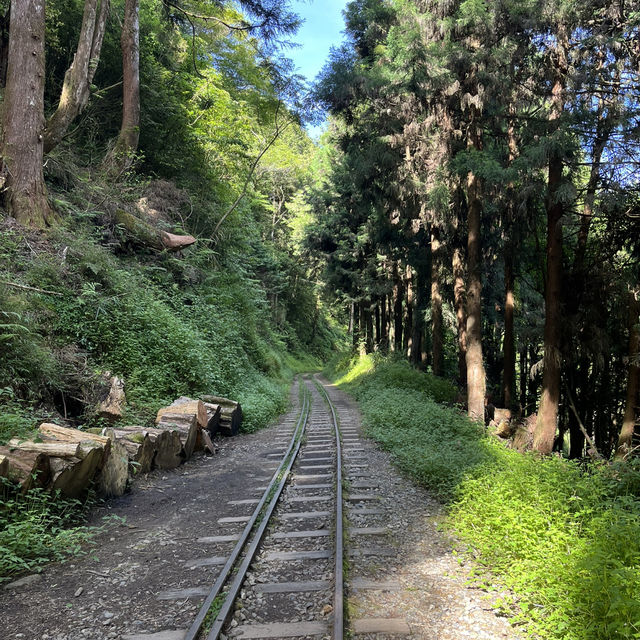 一生必看一次的阿里山日出🌄