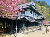 Wandering Edo: A Peaceful Stroll Through Japan’s Historic Village