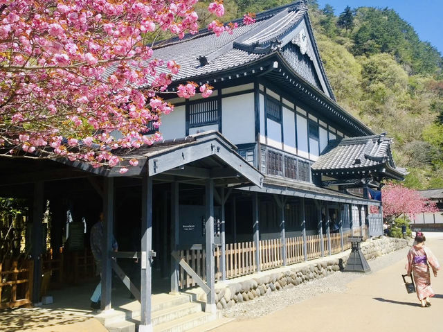 Wandering Edo: A Peaceful Stroll Through Japan’s Historic Village