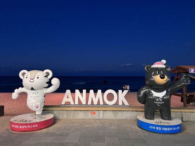 강릉 당일치기 여행코스🤍