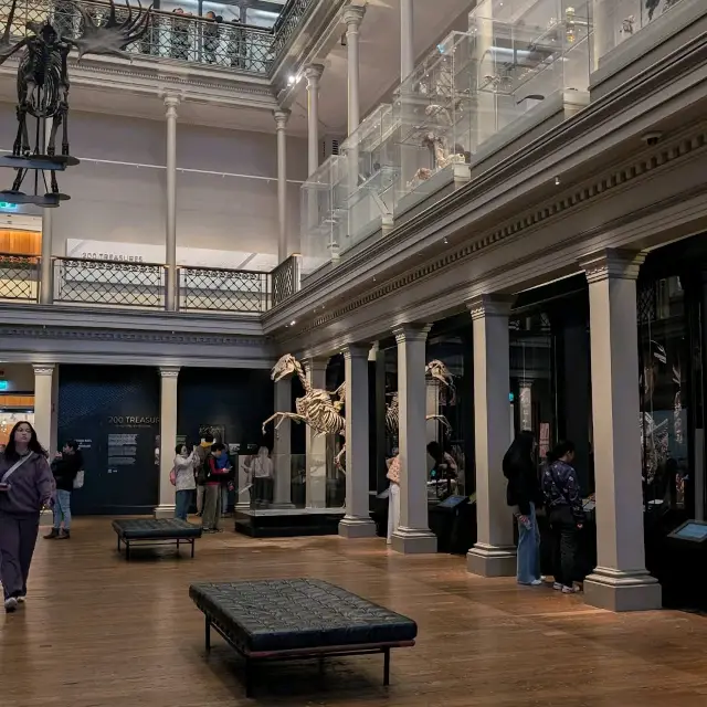 Australian Museum – Sydney, NSW