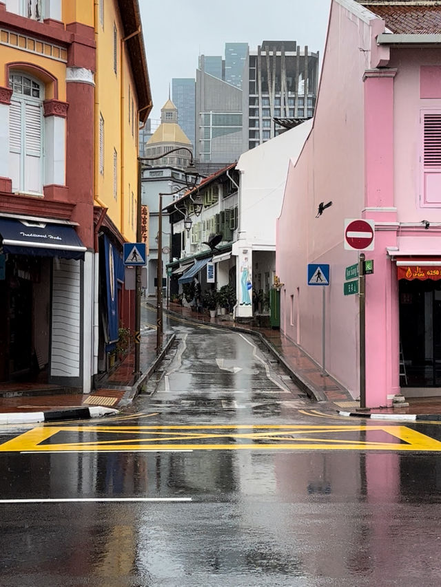 Explore Ann Siang Hill Road — A Peranakan Heritage Treasure in Singapore 