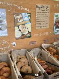 대전 베이글맛집 투드커피🥯☕️🤍