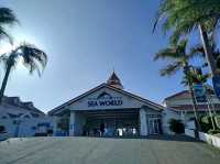 Sea World – Gold Coast, QLD